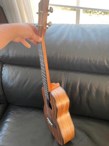 Flight juliana concert ukulele beschikbaar voor biedingen