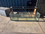 aquarium terarrium 200cmx50cmx50cm, Ophalen, Gebruikt, Leeg aquarium