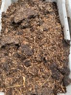 Verse kippen mest bemesting tuin, Ophalen, Mest
