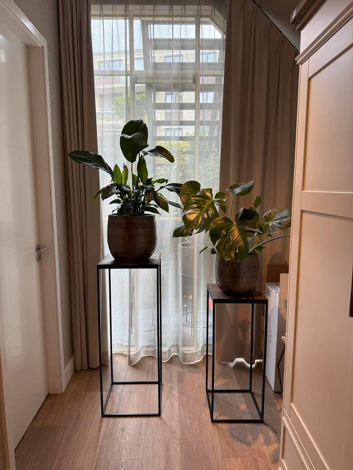 Light and Living Zuilen Visgraat van €250 naar €95, Huis en Inrichting, Tafels | Bijzettafels, Nieuw, Vierkant, 45 tot 60 cm, Minder dan 55 cm