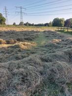 Hogedruk baaltjes hooi, Dieren en Toebehoren, Dierenvoeding, Ophalen, Vee