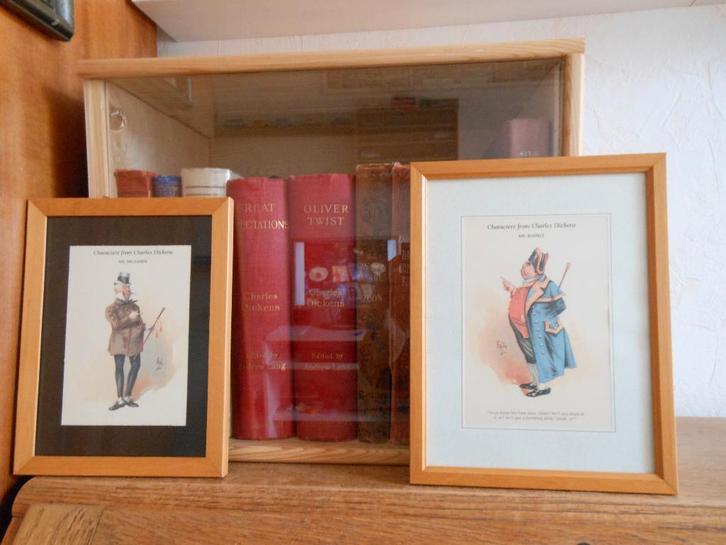 Dickens karakters, Boeken, Kunst en Cultuur | Beeldend, Zo goed als nieuw, Schilder- en Tekenkunst, Ophalen of Verzenden