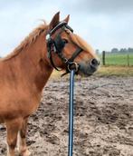 Leren tuig shetlander en wagentje te koop, Ophalen, Overige soorten