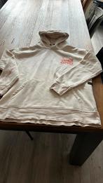 Hoodie, Beige, Ashes to dust, Ophalen of Verzenden, Zo goed als nieuw
