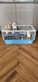 Hamster/cavia kooi 80x50cm + accessoires, perfecte staat!, Dieren en Toebehoren, Kooi, Minder dan 75 cm, Minder dan 60 cm, Zo goed als nieuw