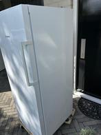 Bosch Diepvrieskast diepvries vriezer, Witgoed en Apparatuur, Koelkasten en IJskasten, Ophalen, 150 tot 200 liter, Gebruikt, Met aparte vriezer