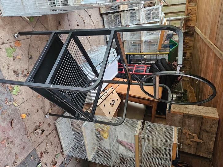 Grote parkieten-papegaaienstandaard, Dieren en Toebehoren, Vogels | Toebehoren, Gebruikt, Ophalen