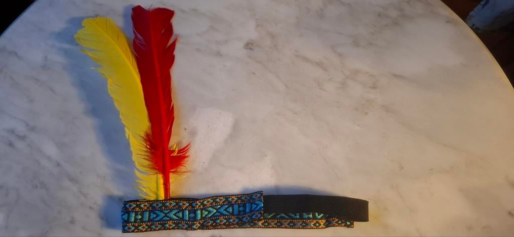 Indianentooi met 2 veren., Ophalen of Verzenden, Zo goed als nieuw, Jongen of Meisje, Jas