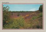 DWINGELOO Heide, Verzamelen, Ansichtkaarten | Nederland, Verzenden, 1980 tot heden, Ongelopen, Drenthe