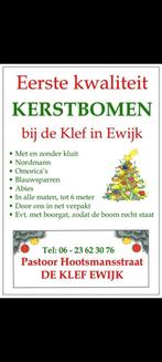 Grote ‼️KERSTBOMEN  van 5 tot 8 meter  tel. 06 23623076, Ophalen of Verzenden