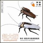 [𝗣𝗿𝗲-𝗼𝗿𝗱𝗲𝗿] Robox Animation - RB-P-02 Big Cockroach, Verzenden, Nieuw