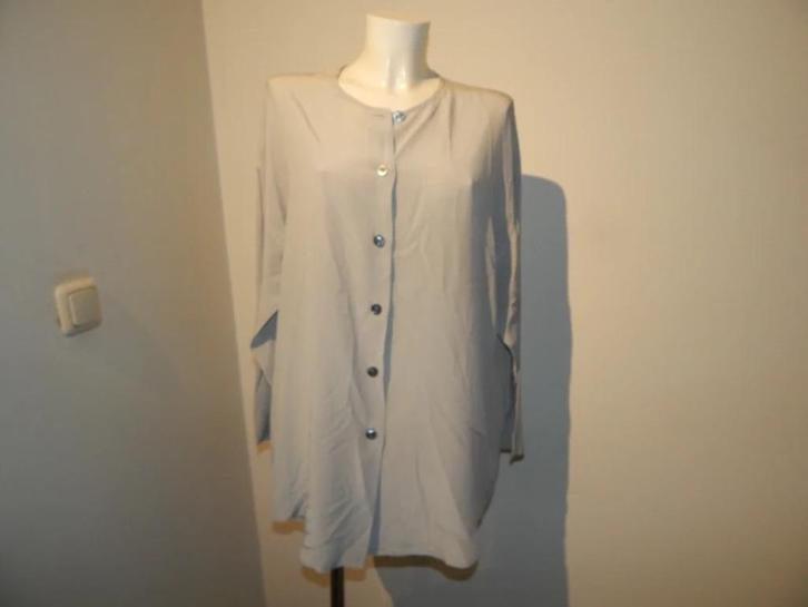 Pauw Amsterdam lichte kleur blouse zijde knopen 5/44, Kleding | Dames, Blouses en Tunieken, Zo goed als nieuw, Maat 42/44 (L)