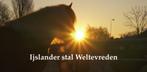 Groepshuisvesting voor IJslanders, Dieren en Toebehoren, Stalling en Weidegang