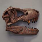 Giant T-rex Skull – Wall Decor polyester - 160 cm, Verzamelen, Dierenverzamelingen, Nieuw, Ophalen