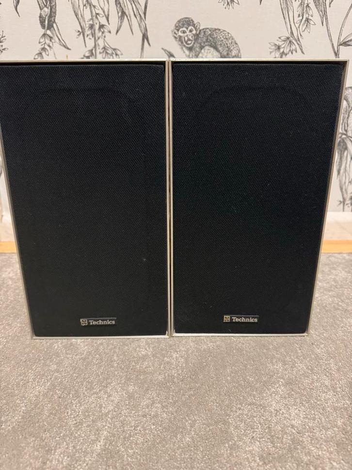 Vintage Technics SB-40 Boxen - Goed Werkend, Audio, Tv en Foto, Luidsprekers, Gebruikt, Front, Rear of Stereo speakers, Minder dan 60 watt