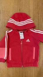 Adidas vest mast 74 meisje, Ophalen of Verzenden, Zo goed als nieuw, Meisje, Truitje of Vestje