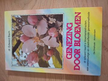 Genezing door bloemen  beschikbaar voor biedingen