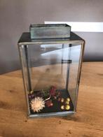Glazen kasje, Dieren en Toebehoren, Vissen | Aquaria en Toebehoren, Ophalen of Verzenden, Zo goed als nieuw, Leeg aquarium