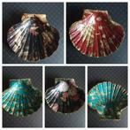 Decoratieve St.Jacobsschelpen met Kunstprint, Ophalen of Verzenden, Overige vormen, Overige materialen, Schaal