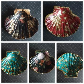 Decoratieve St.Jacobsschelpen met Kunstprint beschikbaar voor biedingen