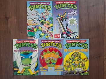Turtles  beschikbaar voor biedingen