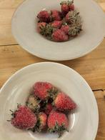 16 Kunstige Aardbeien, Ophalen, Zo goed als nieuw
