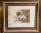 Het prachtige ‘Galop’ van Guiny, Ophalen of Verzenden