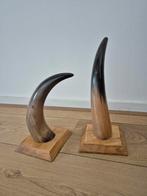 Decoratieve Koehoorns op Houten Voetstuk, Ophalen of Verzenden