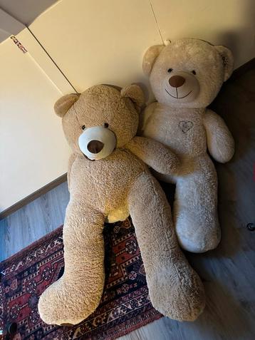 Grote Knuffelbeer beschikbaar voor biedingen