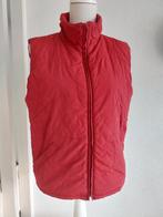 Bordeux rode bodywarmer maat M, Maat 38/40 (M), Ophalen of Verzenden, Onbekend, Gedragen