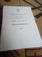 syllabus module grammaire 2023-2024, Boeken, Studieboeken en Cursussen, Verzenden, Nieuw, Diverse auteurs, WO