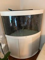 Juwel  Trigon 190 LED driehoekig aquarium, Dieren en Toebehoren, Ophalen, Gebruikt, Leeg aquarium