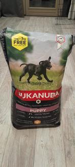 Eukanuba puppy brokken, Dieren en Toebehoren, Ophalen