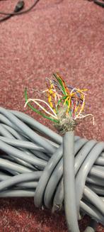 40-aderig signaalkabel dik 20mtr. siliconen, Doe-het-zelf en Verbouw, Elektra en Kabels, Ophalen of Verzenden, Gebruikt, Kabel of Snoer