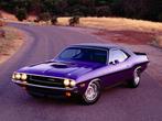 Dodge Challenger R/T 1970 - OttoMobile - 1:12, Ophalen of Verzenden, Nieuw, 1:9 t/m 1:12, Auto