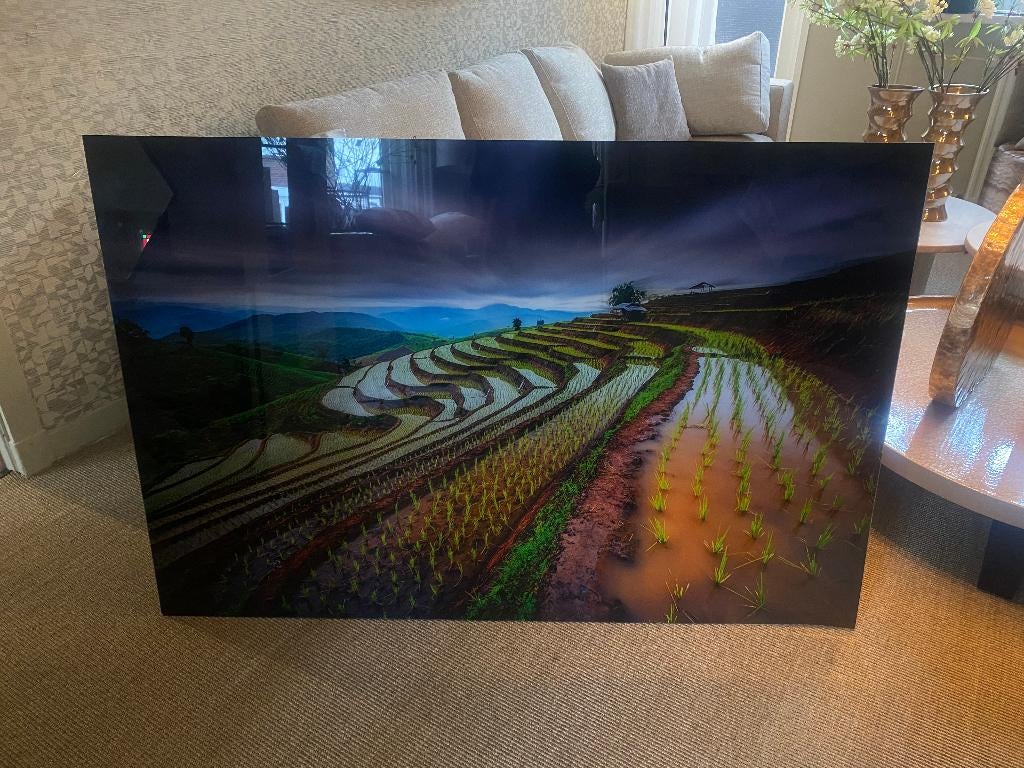 Wanddecoratie, Ophalen of Verzenden, Nieuw