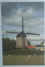 Waarland ( N.H. ) foto Slootgaardmolen, Verzenden, 1980 tot heden, Foto, Zo goed als nieuw