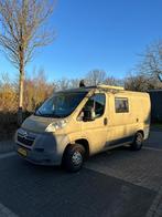 Droom camper te koop, Caravans en Kamperen, Overige merken, Bedrijf, Diesel, Tot en met 2