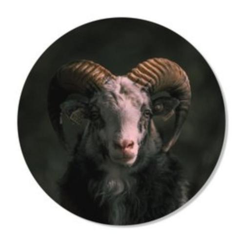 Muurcirkel ram, stoer en sober, Huis en Inrichting, Woonaccessoires | Wanddecoraties, Nieuw, Ophalen of Verzenden