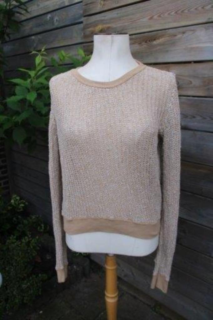 Trui bruin Vanilia mt L Vaste prijs, Kleding | Dames, Truien en Vesten, Zo goed als nieuw, Maat 42/44 (L), Bruin, Ophalen of Verzenden