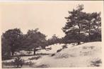 Driebergen, In de duinen, Ophalen of Verzenden, Gelopen, Utrecht