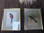 2 mooie brocante  vogelschilderijtjes in oude lijst, Ophalen of Verzenden