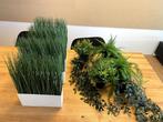 Planten IKEA divers, Ophalen, Zo goed als nieuw, Overige vormen, Kunststof