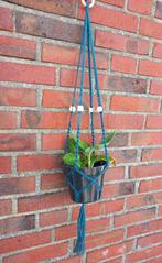 Plantenhanger 4, Ophalen, Halfschaduw, Minder dan 100 cm