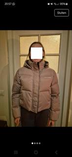 Nieuwe Daily Paper Jas - Maat L - Roze, Ophalen of Verzenden, Nieuw, Roze