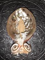 MARIA IN SCHELP, Antiek en Kunst, Ophalen of Verzenden