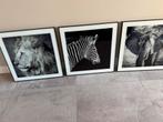 3 luik schilderij  wild, Ophalen, Overige materialen, Zo goed als nieuw, Minder dan 50 cm