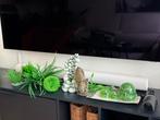 Biorb ornamenten en accessoires, alles in 1 koop €75,-, Dieren en Toebehoren, Ophalen of Verzenden, Zo goed als nieuw