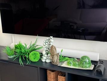 Biorb ornamenten en accessoires, alles in 1 koop €75,- beschikbaar voor biedingen
