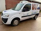 2008 Fiat Lichte vracht Koelwagen, Gebruikt, Overige brandstoffen, Bedrijf, Te koop